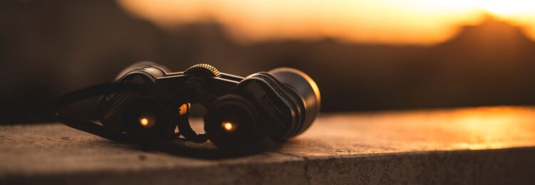 Where to Look for the Best SEO Companies