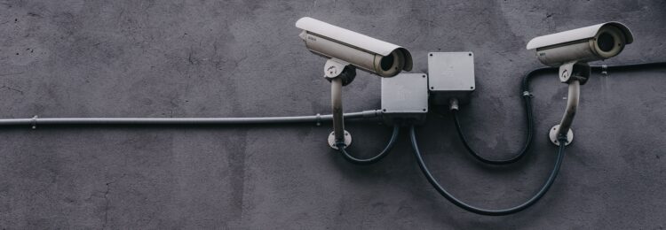 Why Is It Worth Monitoring Your Visibility on Google?