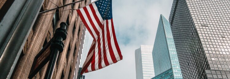 What Characterizes the E-commerce Market in the USA?