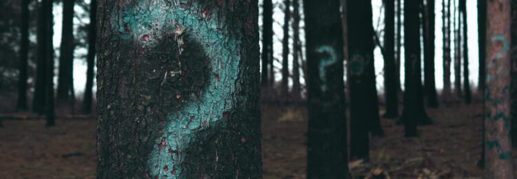 Fear of SEO – the Reason Why Some Entrepreneurs Don’t Invest in SEO