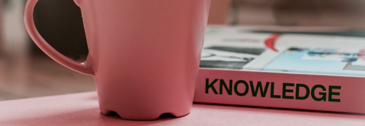Google Knowledge Panel. What Is It and Should You Get One