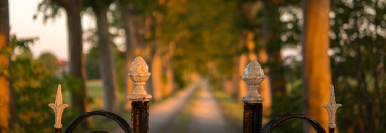 Gated Content – What Is It and How Can It Support Your Business?
