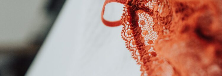 SEO for Lingerie Industry. How to Mark Your Online Presence?