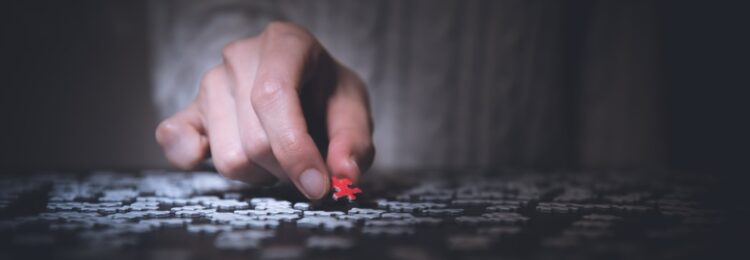 How to React When Google Introduces Changes to Its Algorithms?