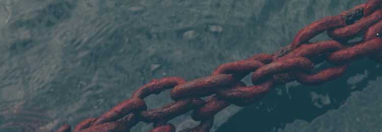 The Importance of External Links in SEO
