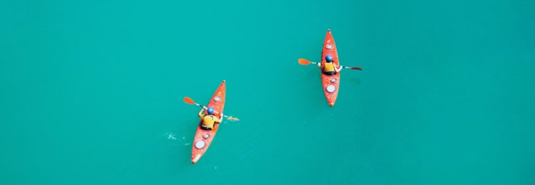 SEO for Sports Websites- How to Improve the Visibility of Your Website