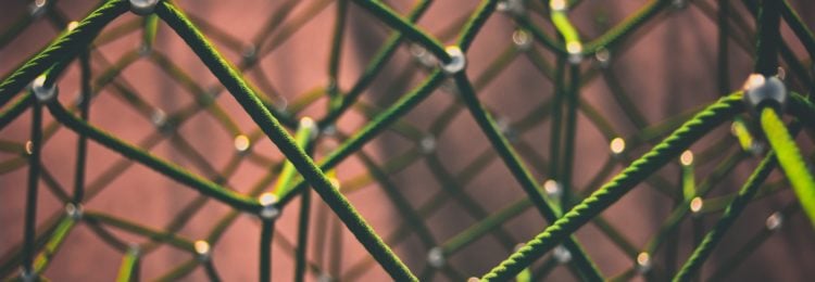 Topical Authority – What Is It and How Can SEO Benefit From It?