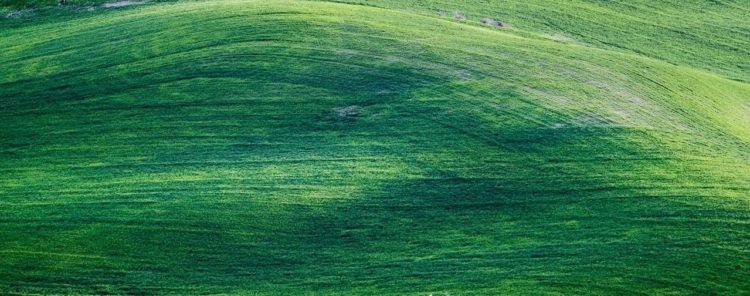 GDN Ads - green color meaning, associations