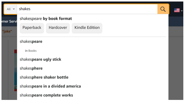 autocomplete in site search