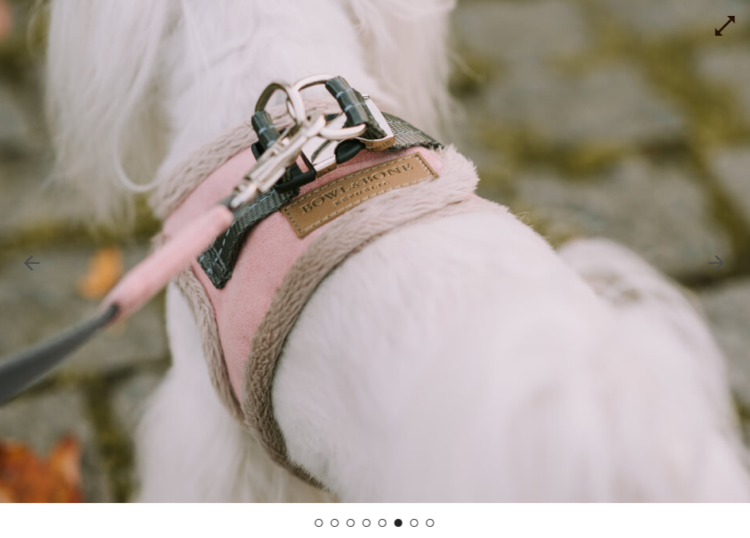 seo for pet shops products