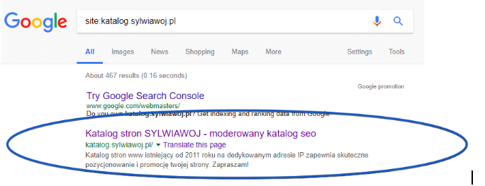 SEO in Poland - catalog