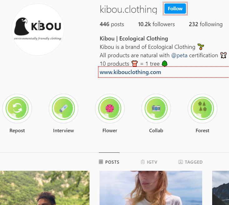 social media activity in seo for ecological industry