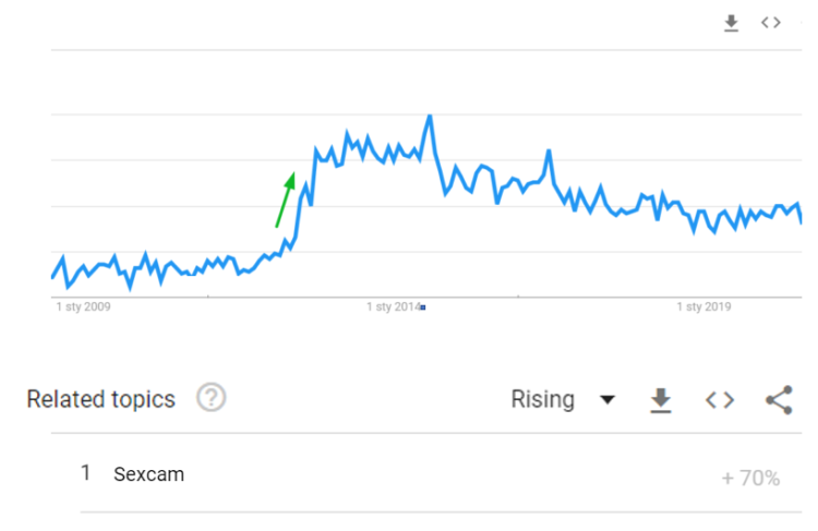 seo for sex shop - increasing trend of sexcams