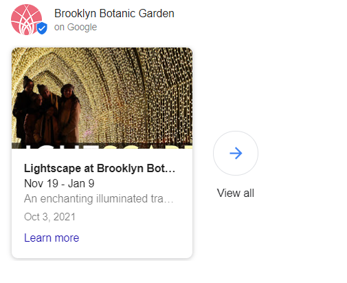 paid google company page entries section