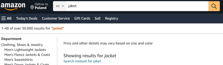 site search example misspelling