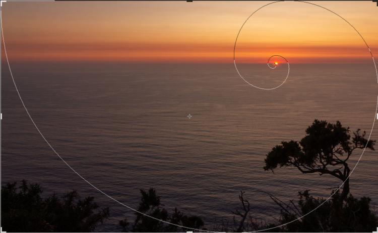 GDN Ads - The golden spiral rule example photoshop