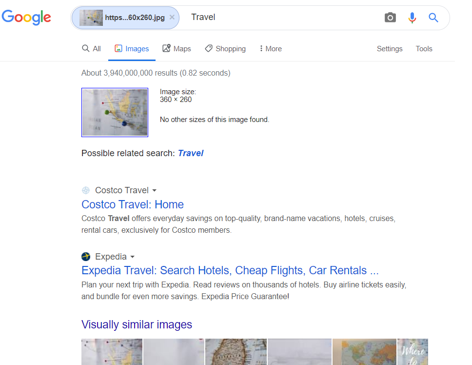 Searching Google Images