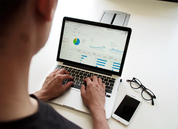 SEO expert auditing a website