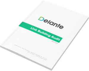 link building audit file