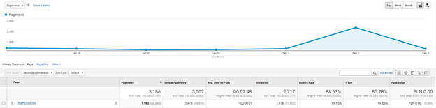 Traffic Bot in Google Analytics
