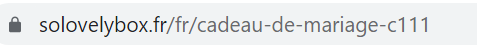 url addresses update seo for french market case