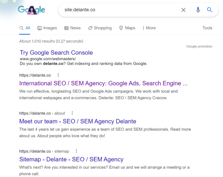 website in google index