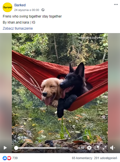 wideo - link baiting